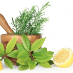5 Essential Oils for a Strong Immune System + Recipes 5 Essential Oils for a Strong Immune System + Recipes