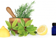 5 Essential Oils for a Strong Immune System + Recipes 5 Essential Oils for a Strong Immune System + Recipes