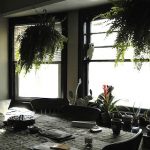 Tips for Managing Indoor Air Pollution Tips for Managing Indoor Air Pollution
