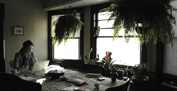 Tips for Managing Indoor Air Pollution 
