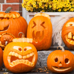 How to Reuse Your Halloween Pumpkin How to Reuse Your Halloween Pumpkin