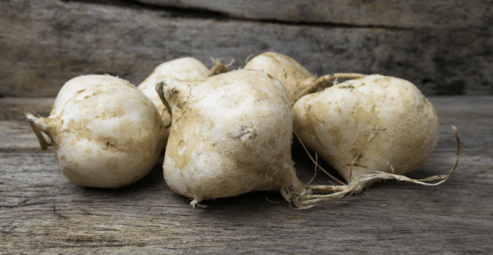 Jicama, A Veggie You Should Know Better + Recipes 