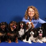 5 Practical Everyday Pet Remedies That Don't Need a Prescription 5 Practical Everyday Pet Remedies That Don't Need a Prescription 2