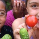 Teaching Kids About Eating Seasonally Teaching Kids About Eating Seasonally