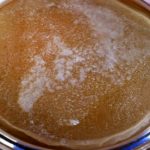 Is Kombucha Good For You? Is Kombucha Good For You?