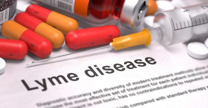 Is There a Cure for Lyme Disease? 