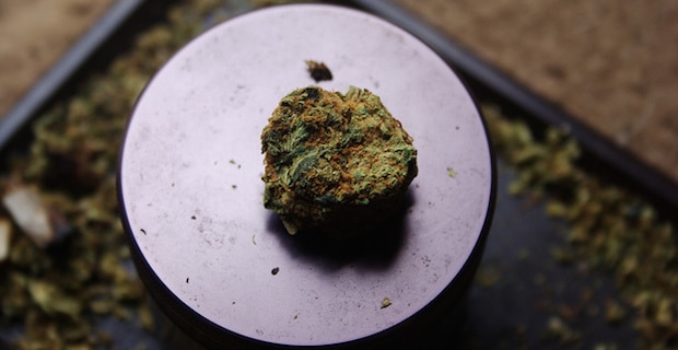Is Medical Marijuana Contaminated? 1