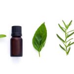 Improve Your Memory With Essential Oils Improve Your Memory With Essential Oils