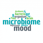 How Your Microbiome Affects Mood and Mental Health Mood Microbiome