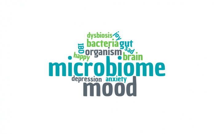 Mood Microbiome