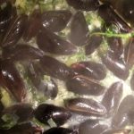 Sake Steamed Mussels Sake Steamed Mussels