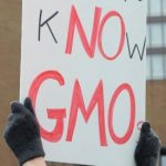 Non-GMO Project Gets New Support Non-GMO Project Gets New Support