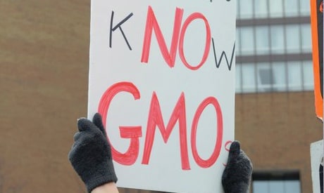Non-GMO Project Gets New Support 