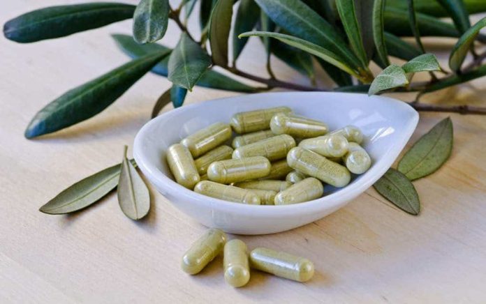 Olive leaf extract