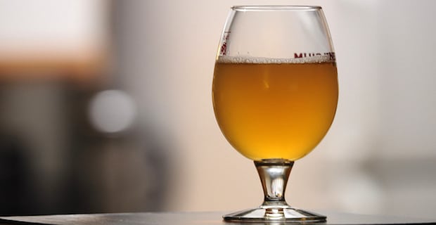 Are You Drinking Organic Beer? Why Beer Ingredients Matter 
