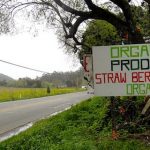 Is Organic Food Really Worth It?: What You Didn’t Already Know About the Industry Is Organic Food Really Worth It?: What You Didn’t Already Know About the Industry