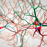 Protein in Parkinson’s Disease Causes An Autoimmune Response Protein in Parkinson’s Disease Causes An Autoimmune Response