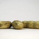 The Case Against Peanuts The Case Against Peanuts