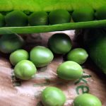 Brains Can be 'Trained' to Love Healthy Foods, Study Finds Brains Can be 'Trained' to Love Healthy Foods, Study Finds