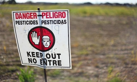 Think Pesticides are Well Regulated? Think Again 