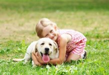 How Pets Keep You Healthy How Pets Keep You Healthy
