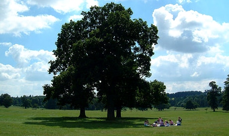 Planning a Labor Day Picnic? 4 Healthy, Easy Picnic Ideas 