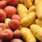 Are You Ready for Potato Milk? Are You Ready for Potato Milk?