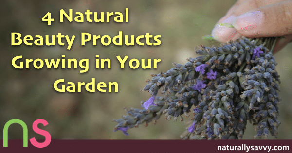 3 Natural Beauty Products Growing in Your Garden 