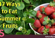 17 Ways to Eat Summer Fruits 17 Ways to Eat Summer Fruits