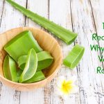 16 Reasons Why Aloe Vera Rocks 16 Reasons Why Aloe Vera Rocks 1