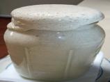 SourDough Starter 