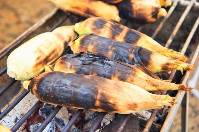 Corn on the Cob in Husk for the Firepit 