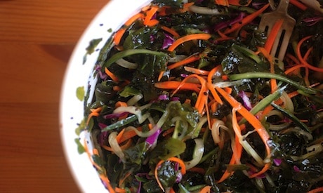 Healthy Food from the Sea, Nothing Fishy About Iodine-Rich Seaweed 