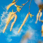 10 Easy Ways to Relieve Seasonal Allergies 10 Easy Ways to Relieve Seasonal Allergies
