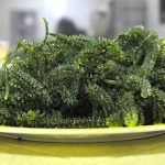The Many Health Benefits of Seaweed The Many Health Benefits of Seaweed