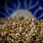 The Amazing Health Benefits of Sesame Seeds The Amazing Health Benefits of Sesame Seeds