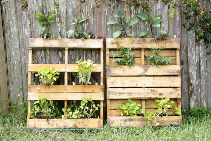 5 Super Crafty Ideas For Starting A Spring Garden With Limited Space