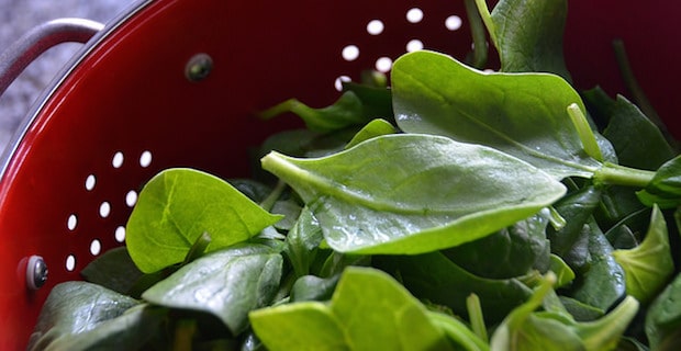 Baby Spinach Salad with Warm Portobello Mushrooms and Goat Cheese 