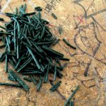 The Benefits of Spirulina The Benefits of Spirulina