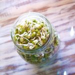 Sprout Your Way to Better Health with Homegrown Sprouts Ready. Set. Sprout!