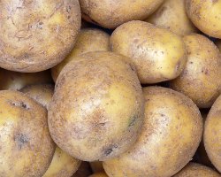 Potatoes: Healthy or Not? 
