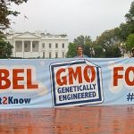 GMO Labeling Battles Continue GMO Labeling Battles Continue