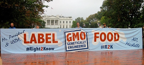 GMO Labeling Battles Continue 