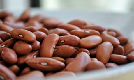 41 Ways to Prepare Beans 