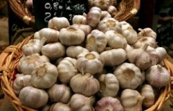 Flu Season-Get Your Garlic Out! 