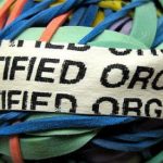 What is Organic? What is Organic?