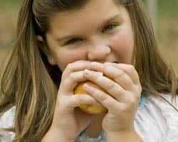 Childhood Obesity from a Holistic Perspective 