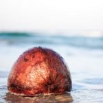 Is Coconut Water Good For You? Is Coconut Water Good For You?