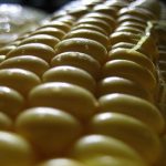 GMO Corn Study Finds Tumors In Rats GMO Corn Study Finds Tumors In Rats
