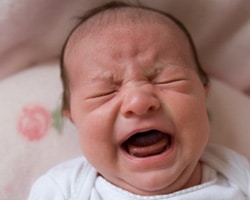 Dealing With Colic 
